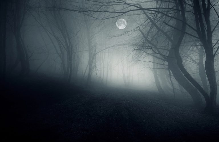 Peut-on vivre plusieurs nuits noires ?
