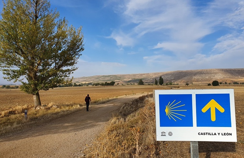 Quelques livres sur Compostelle