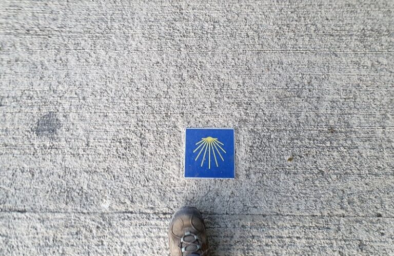 Quel chemin de Compostelle choisir selon son niveau et le temps disponible ?