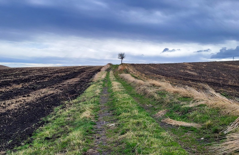 33 - Chemin